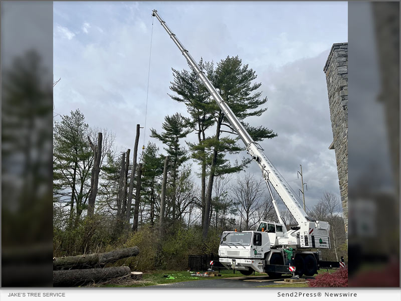 Innovative Tree Care Marketing Strategy Helps Jake’s Tree Service in Pennsylvania Grow by More than 1,300-Percent