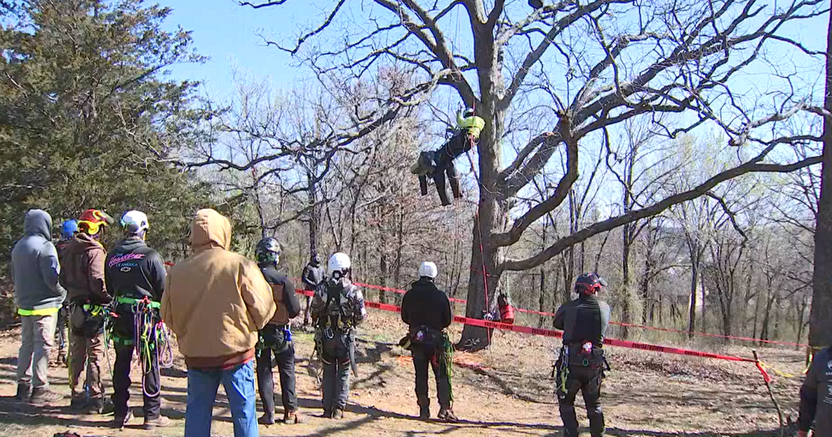 Aerial rescue event held for people in tree industry | News