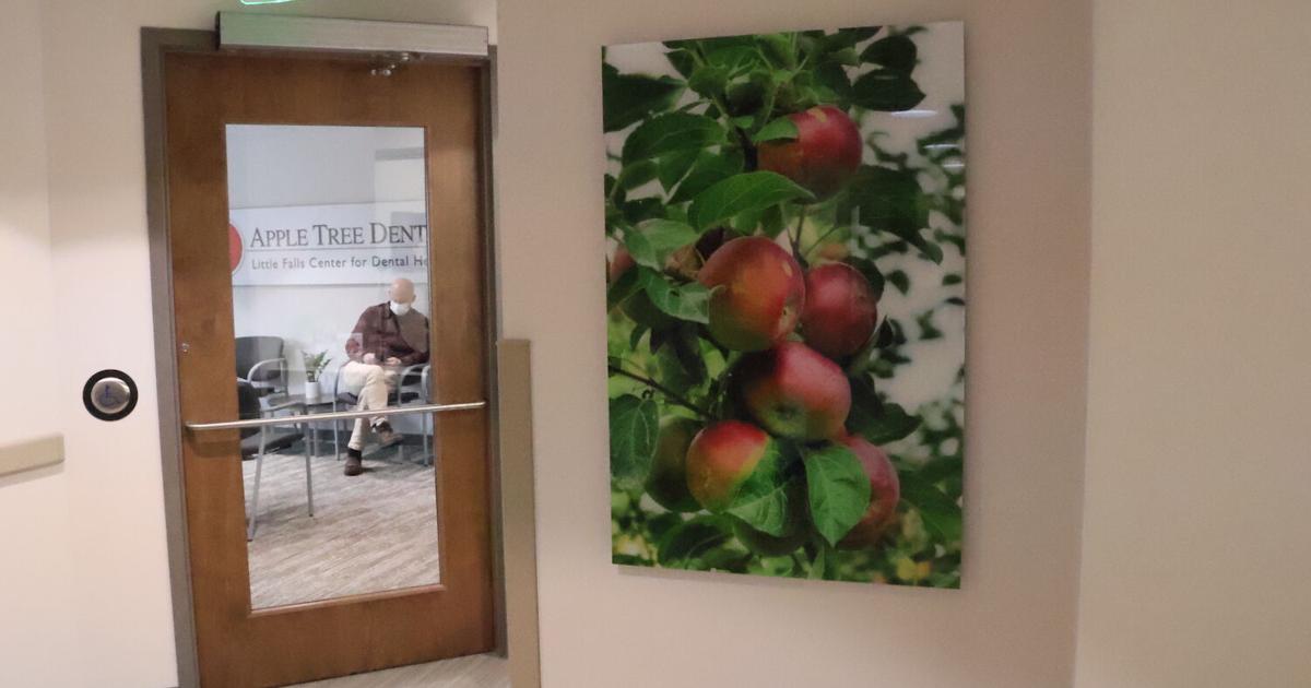 Apple Tree Dental celebrates grand opening in Little Falls | News