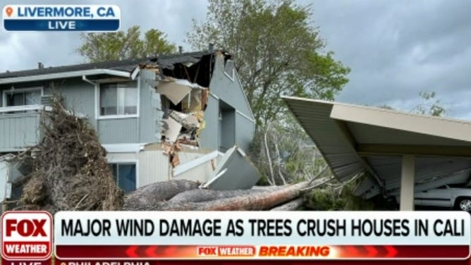 Large tree crushes church during strong winds in California