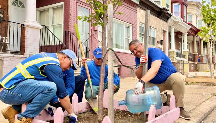 Growing tree canopy in commercial areas across the city | Department of Commerce