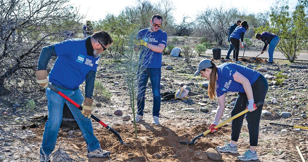 Mesa, Phoenix businesses key on planting trees | News