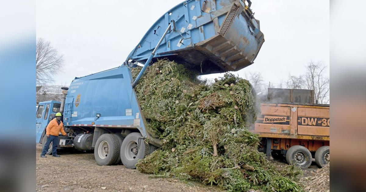 Pittsburgh giving away free mulch from Christmas tree recycling program