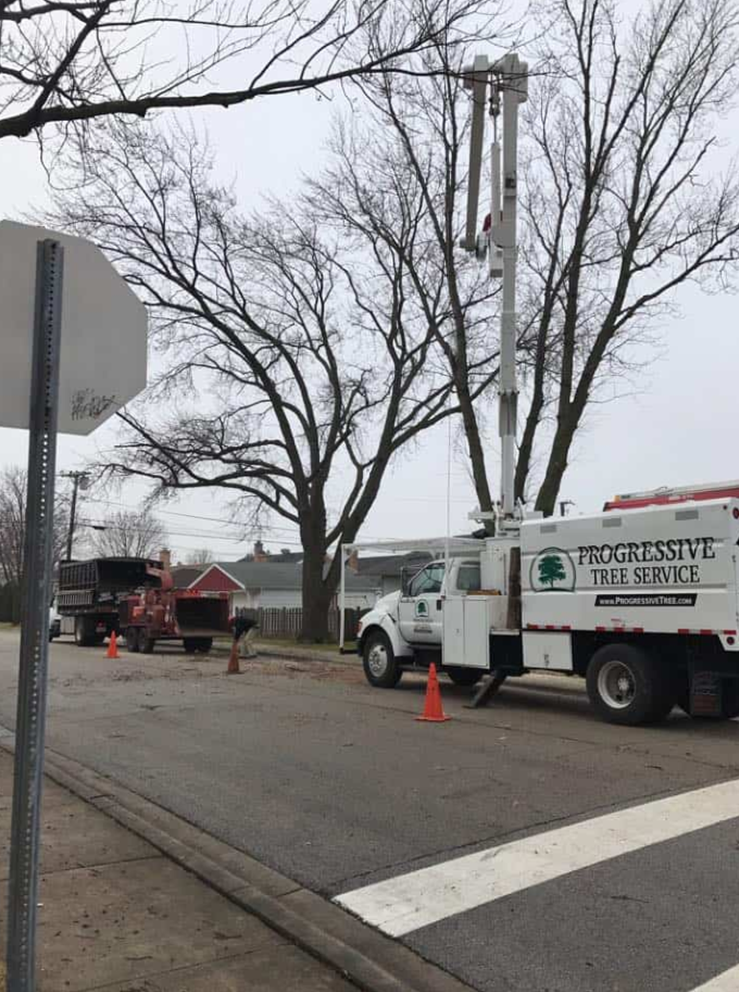 Say Goodbye to Hazardous Trees with Progressive Tree Service’s Efficient and Reliable Tree Removal Services in Chicago, IL