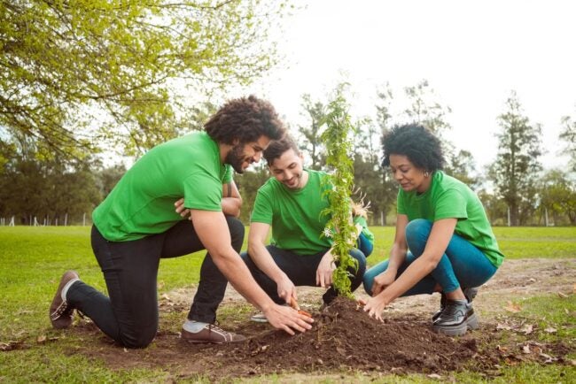 The Best Memorial Tree-Planting Services of 2023