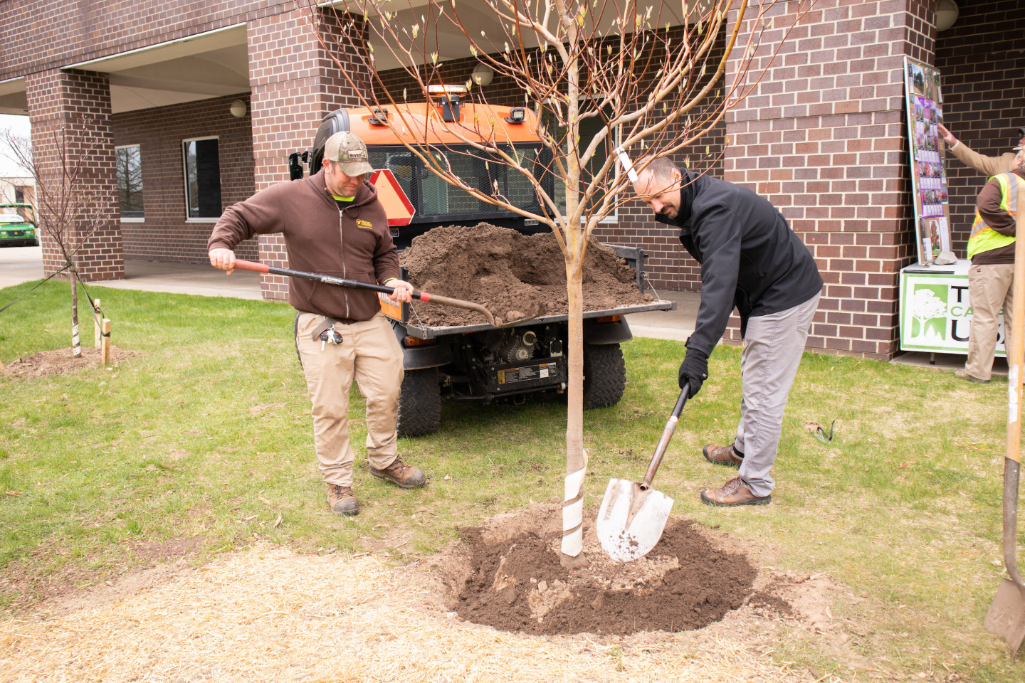 2023 Arbor Day celebration celebrates Western’s commitment to Tree Campus designation | WMU News