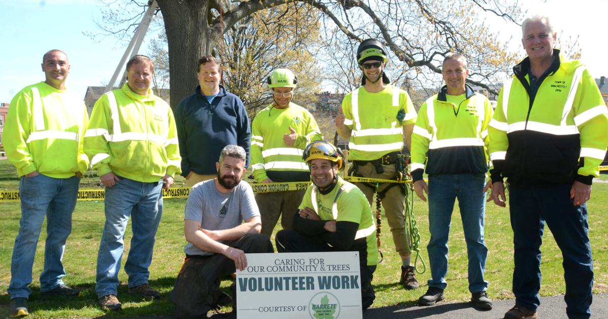 Barrett Tree Service gives back to Winchester on Arbor Day | Winchester