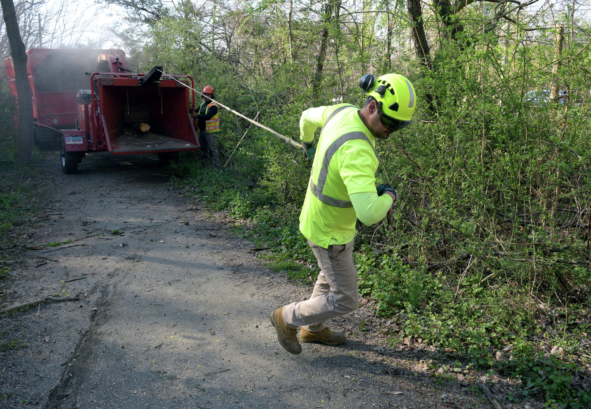 Crew clears dead trees that ‘posed a threat’ on Wilton trail