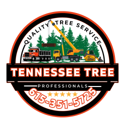 Franklin Tree Service Publishes Updated Website for 2023
