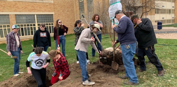 Grant Funds Tree Planting on Campus in Honor of Felled Silver Maple