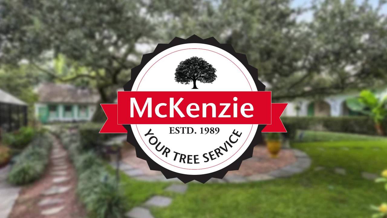 McKenzie Tree Services | WGNO