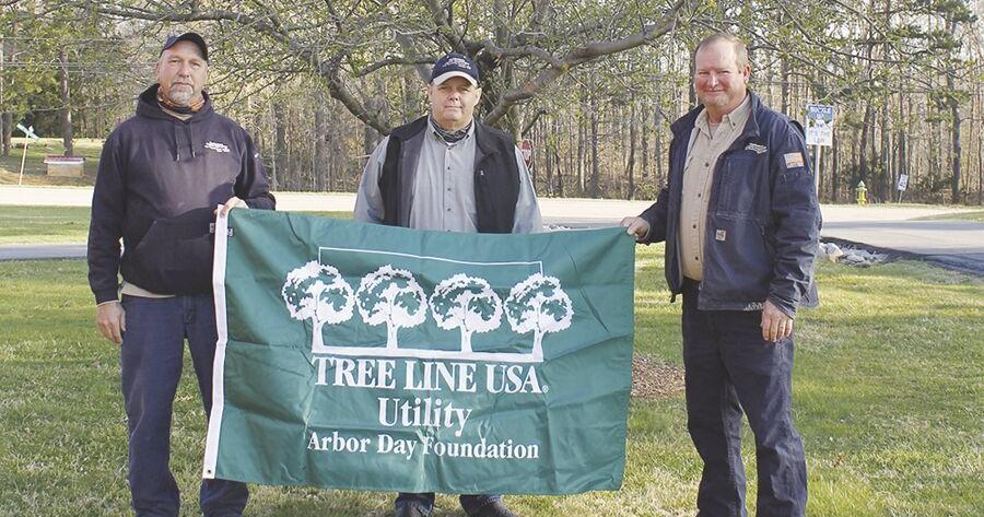 Mecklenburg Electric Cooperative named a 2023 Tree Line Utility | News