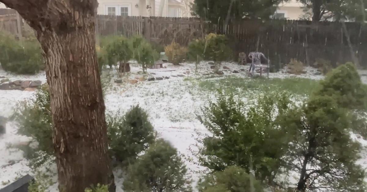 Roofing expert provides tips to protect yourself after this week’s catastrophic hailstorms