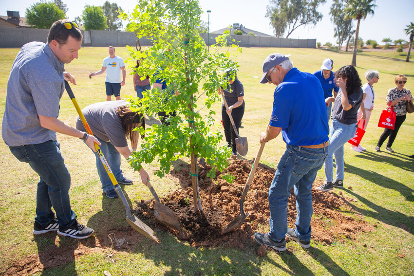 SRP salutes Mesa for climate action plan, tree-planting effort