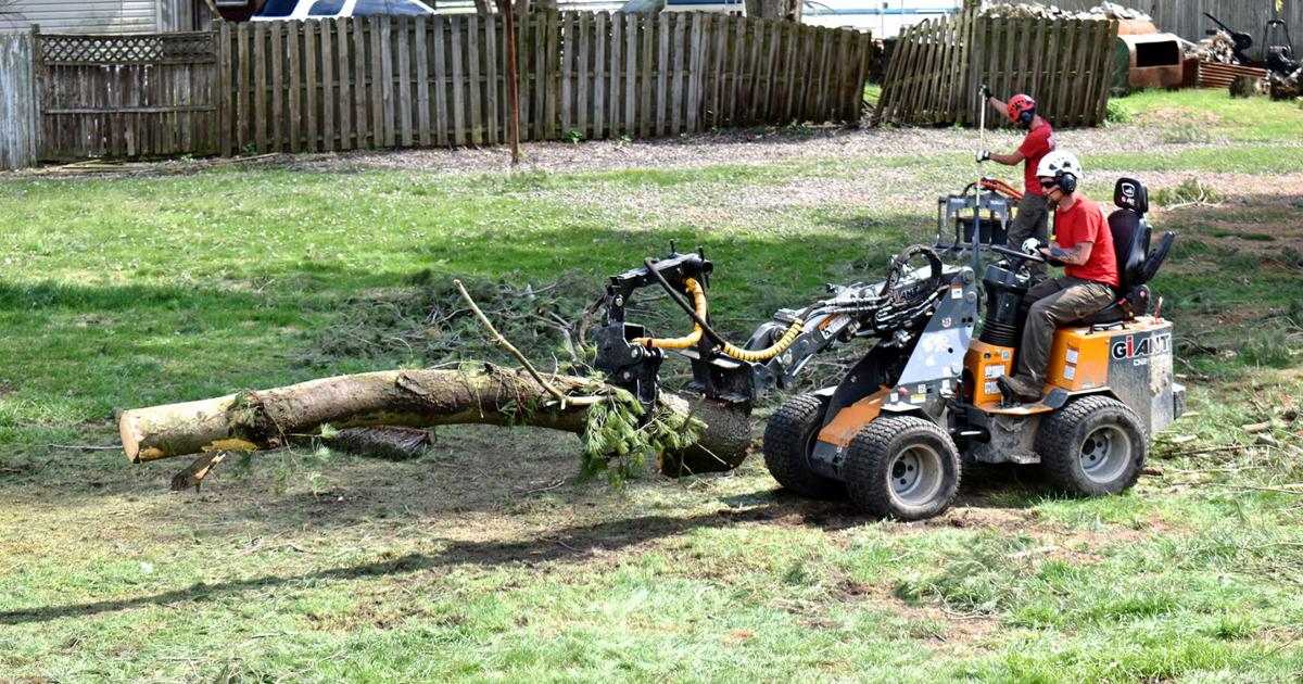 Storms create a windfall of tree cleanup work to be done | News