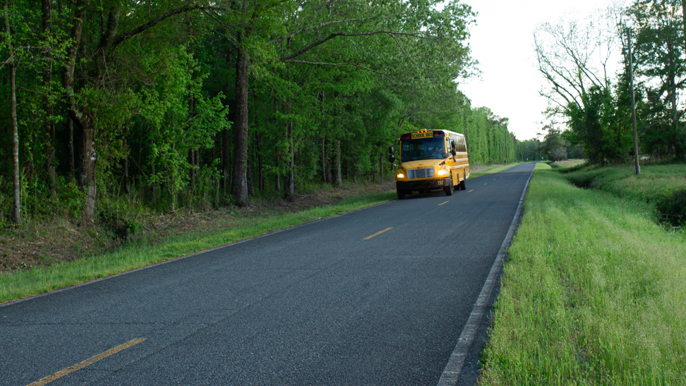 The Agenda: OKI tree protection overlay, PC schools’ public input on staggered bus routes