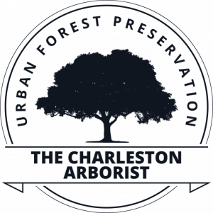 The Charleston Arborist Delivers Exceptional Tree Removal Services in Charleston