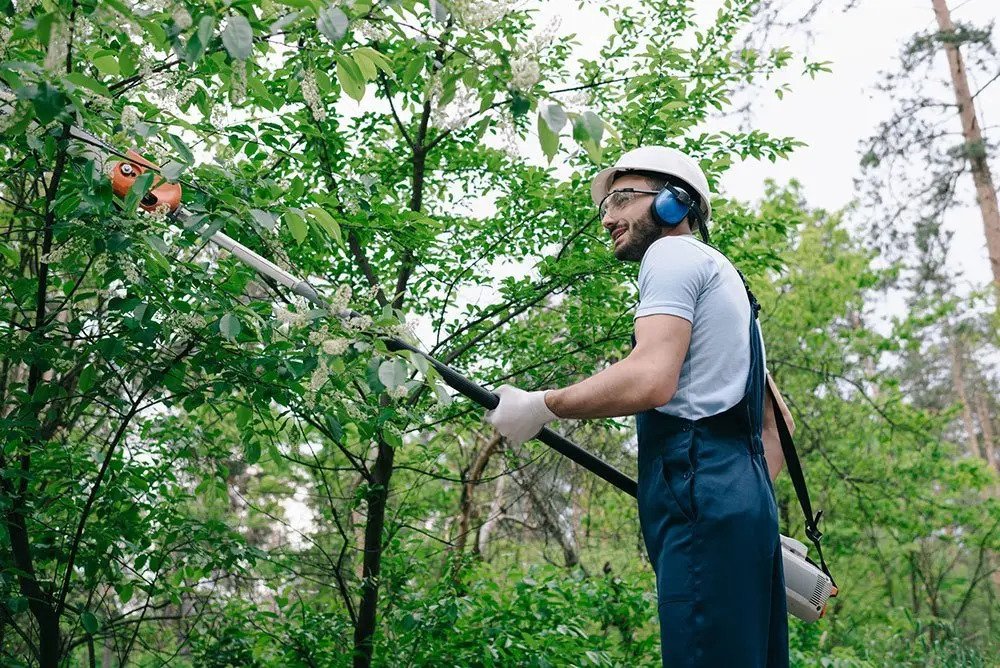 Tree Service Pros Fair Oaks Embraces Drone Technology for Tree Care