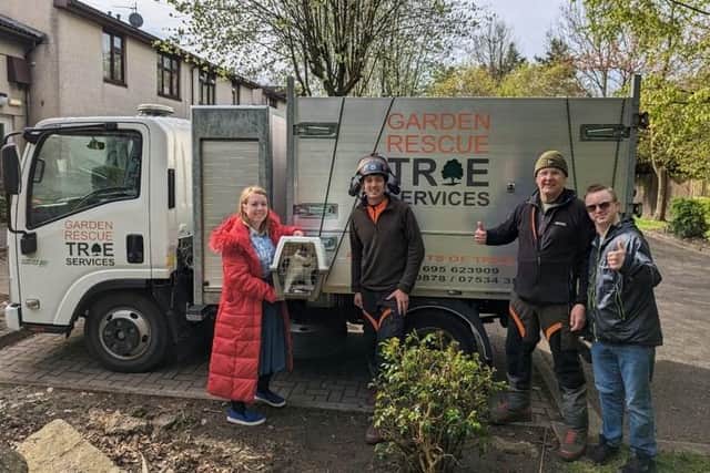 Tree surgeons praised for rescuing a cat stuck up a 50ft tree for two days after being chased by a dog