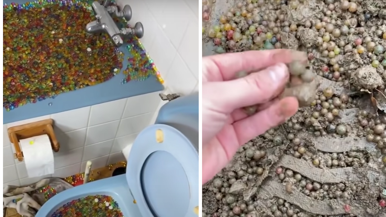 Viral ‘Online challenge’ Ends With Man Blocking His Entire Apartment Building’s Plumbing System