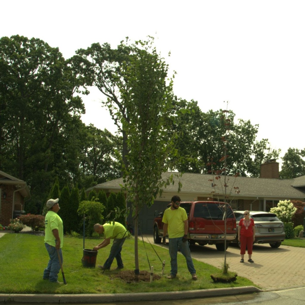City of Dearborn to offer free tree planting services for residents – Press and Guide