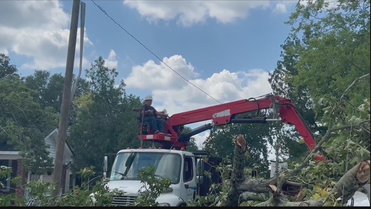 Tree removal services hard at work in Savannah