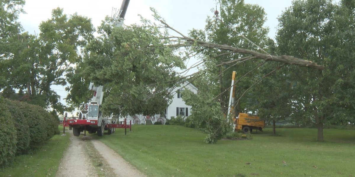 Tree removal services working non-stop to clean-up communities
