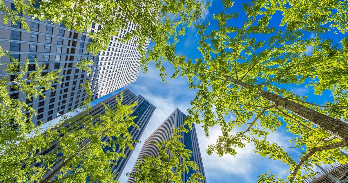 TNC Secures  Million to Expand Tree Canopy in Newark