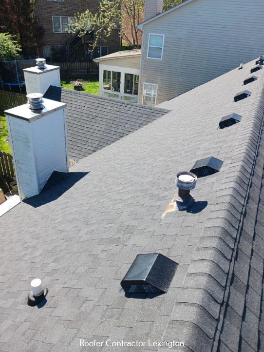 Tri-Star Roofing & Renovations Explains Reasons to Hire a Roofer