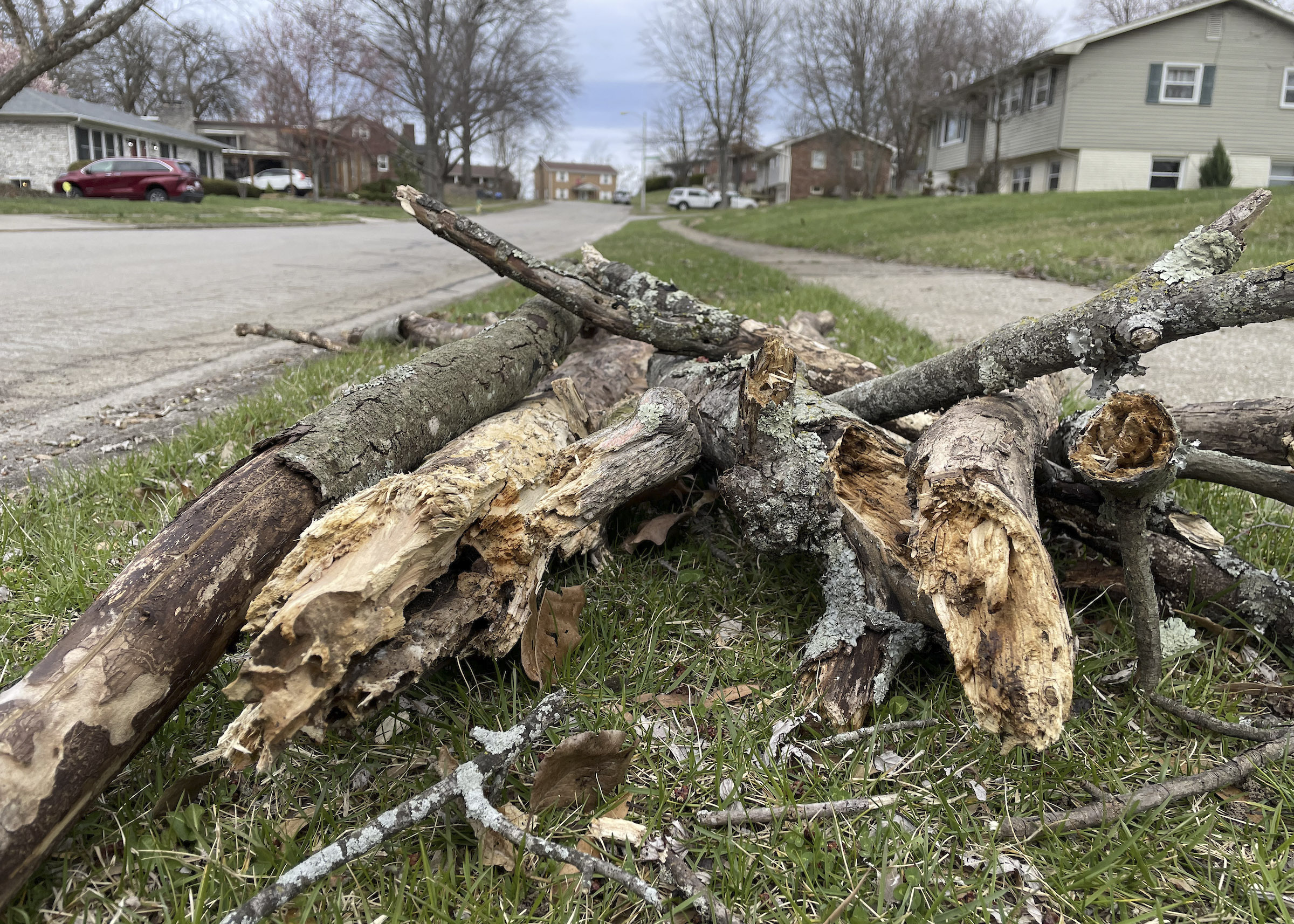 Residents needing tree and debris removal asked to register for volunteer services
