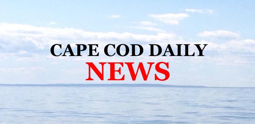 Cherry tree | Cape Cod Daily News