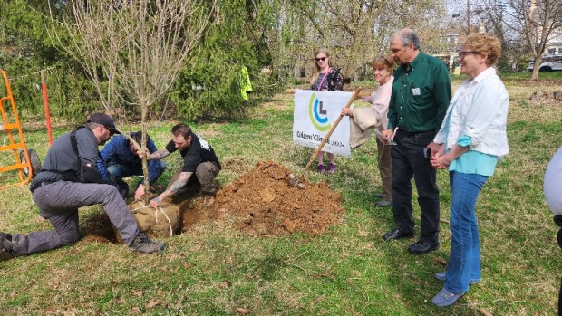 Rep. Houlahan honored with tree planting in West Chester – Daily Local