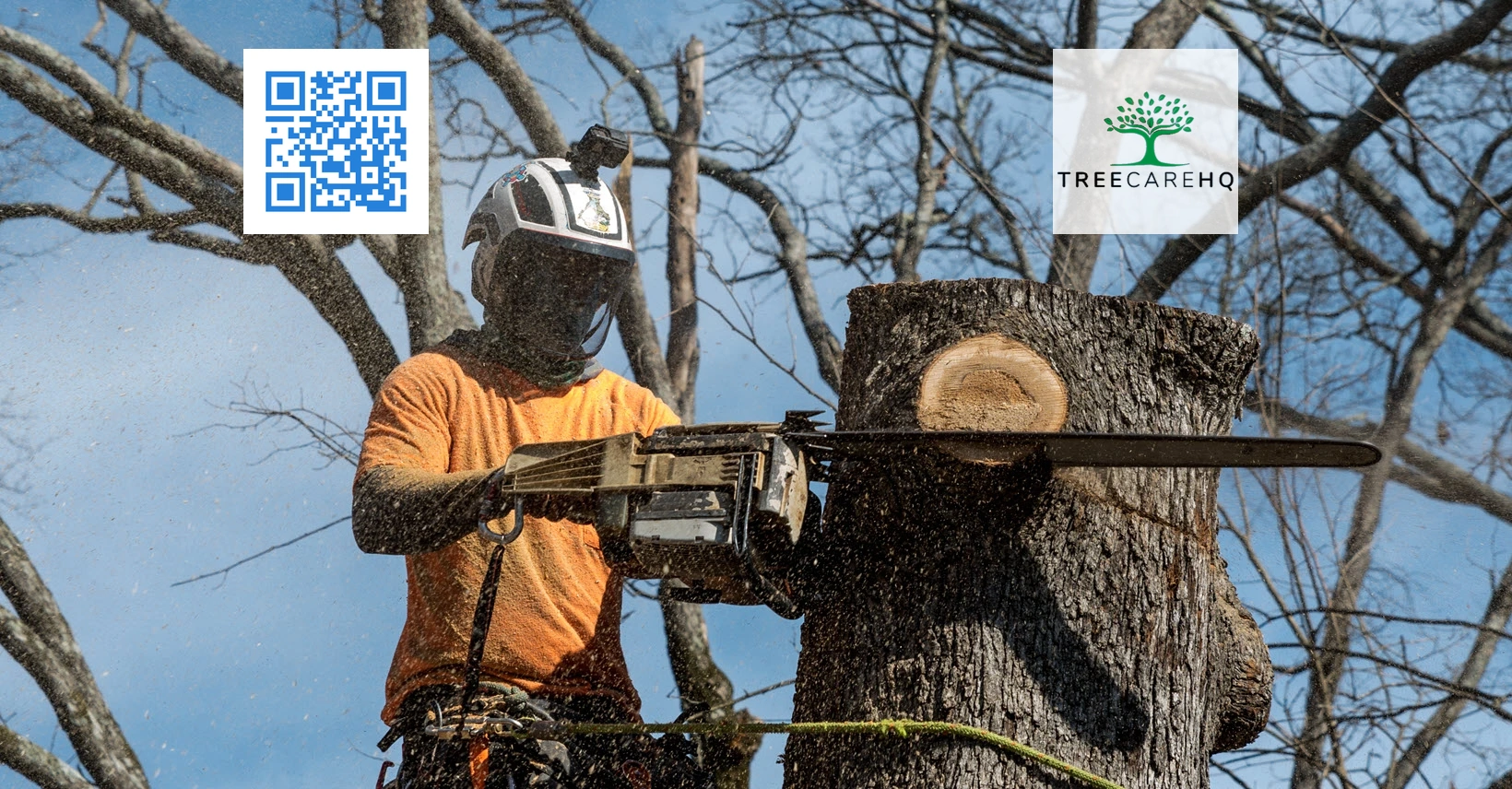 TreeCareHQ Winchester Settles Tree Care Problems For Local Residents