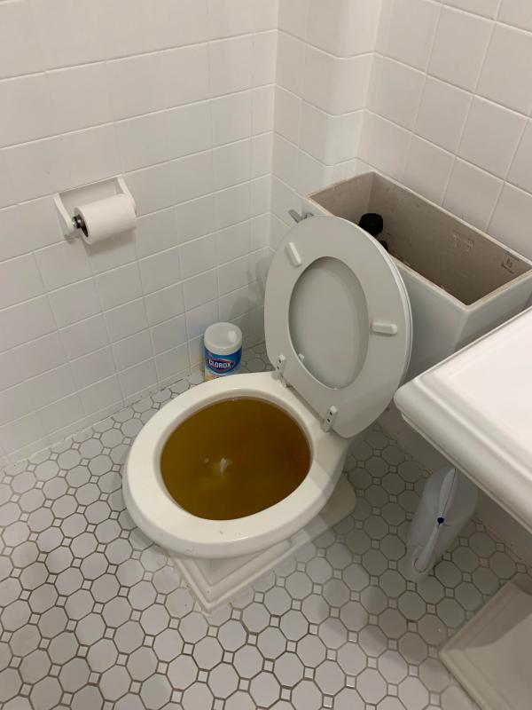 Clogged Toilet Reddit: Tips and Solutions for Dealing with a Common Plumbing Issue