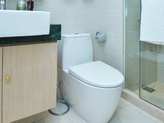 The Unflushable Toilet: How to Deal with Clogs and Prevent Plumbing Disasters