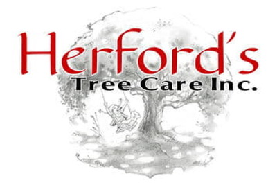 Uncovering Herford’s Tree Care, Inc.’s Safe and Efficient Tree Care Services