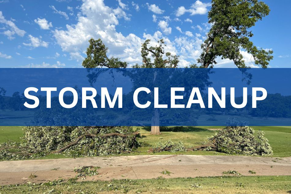 Curbside Collection Information for Tree Limbs and Debris Left After Friday’s Severe Weather
